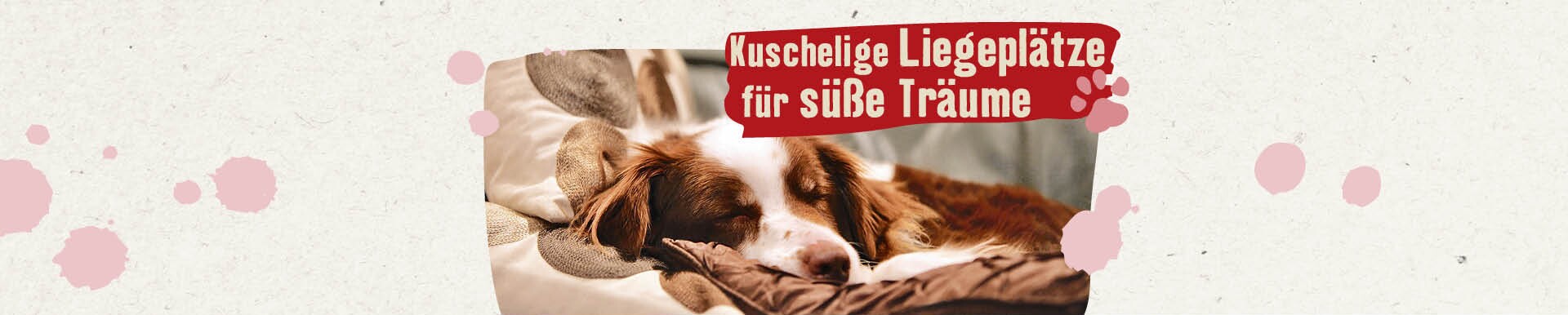 Kuschlige Liegeplätze Hund