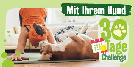 DE_KW46_30TageChallengeLP_SG_OS.6er_4-5facdec3cad45 Person macht Yoga mit ihrem Hund auf der Matte – 30-Tage-Fitness-Challenge mit Hund zu Hause