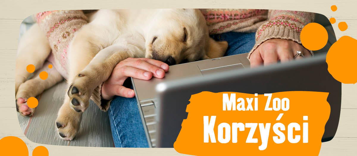 PL_KW47_Servicewelt_ML_OS.Fullsize1 Korzyści w Maxi Zoo