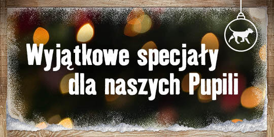 PL_KW47_XMASS_LP_ML_OS_6erN Bożonarodzeniowe specjały w Maxi Zoo