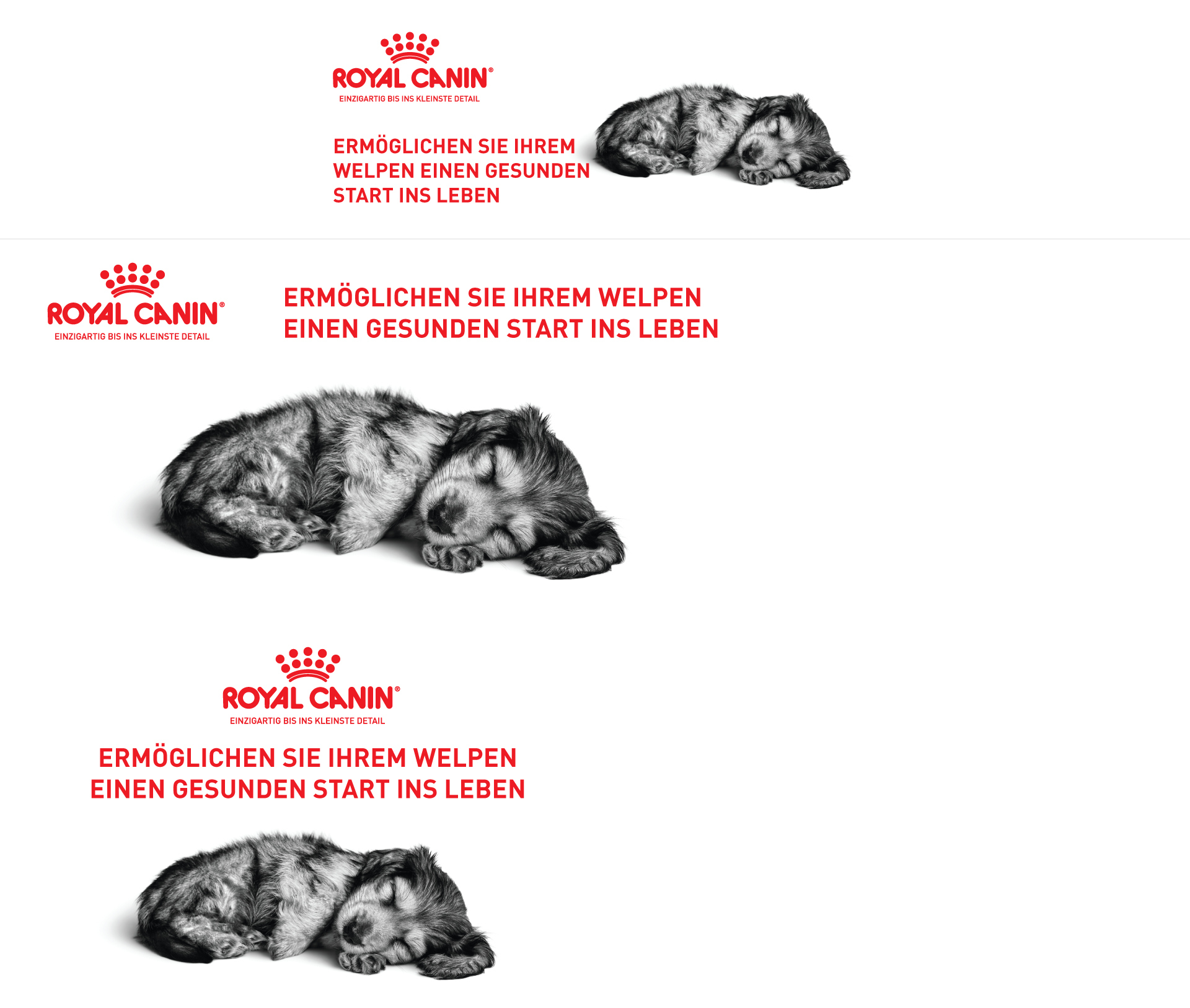 Stage-Sprite_Puppy Royal Canin für Welpen