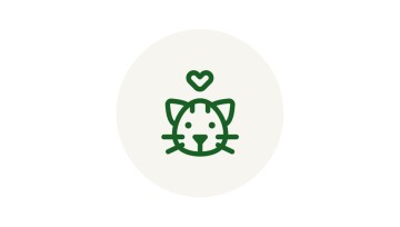 vis_katze_kitten_1200 Icon Katze Kitten