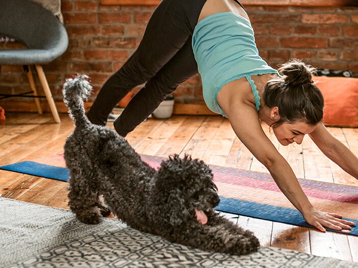 Faire du yoga avec son chien