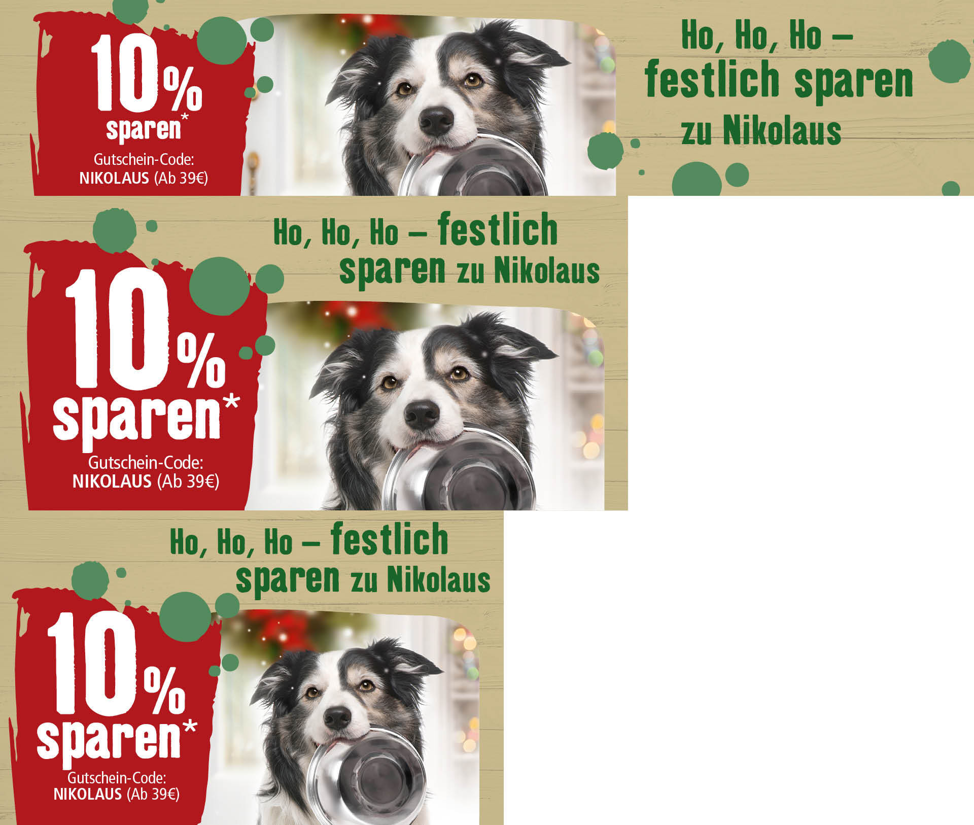 Border Collie hält Futternapf im Maul – 10% Nikolaus-Rabatt mit Gutschein-Code NIKOLAUS ab 39 Euro – festliche Weihnachtsaktion