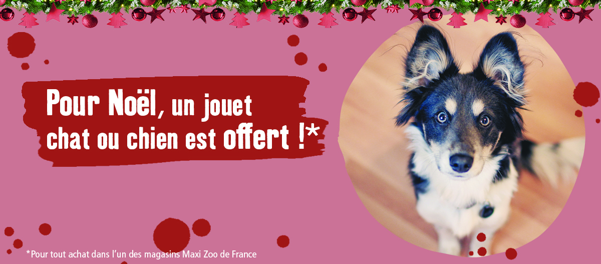 BanniereCadeauNoel Un cadeau offert pour Noel