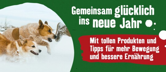 Zwei Hunde spielen glücklich im Schnee, begleitet von Text über Tipps für mehr Bewegung und bessere Ernährung im neuen Jahr.