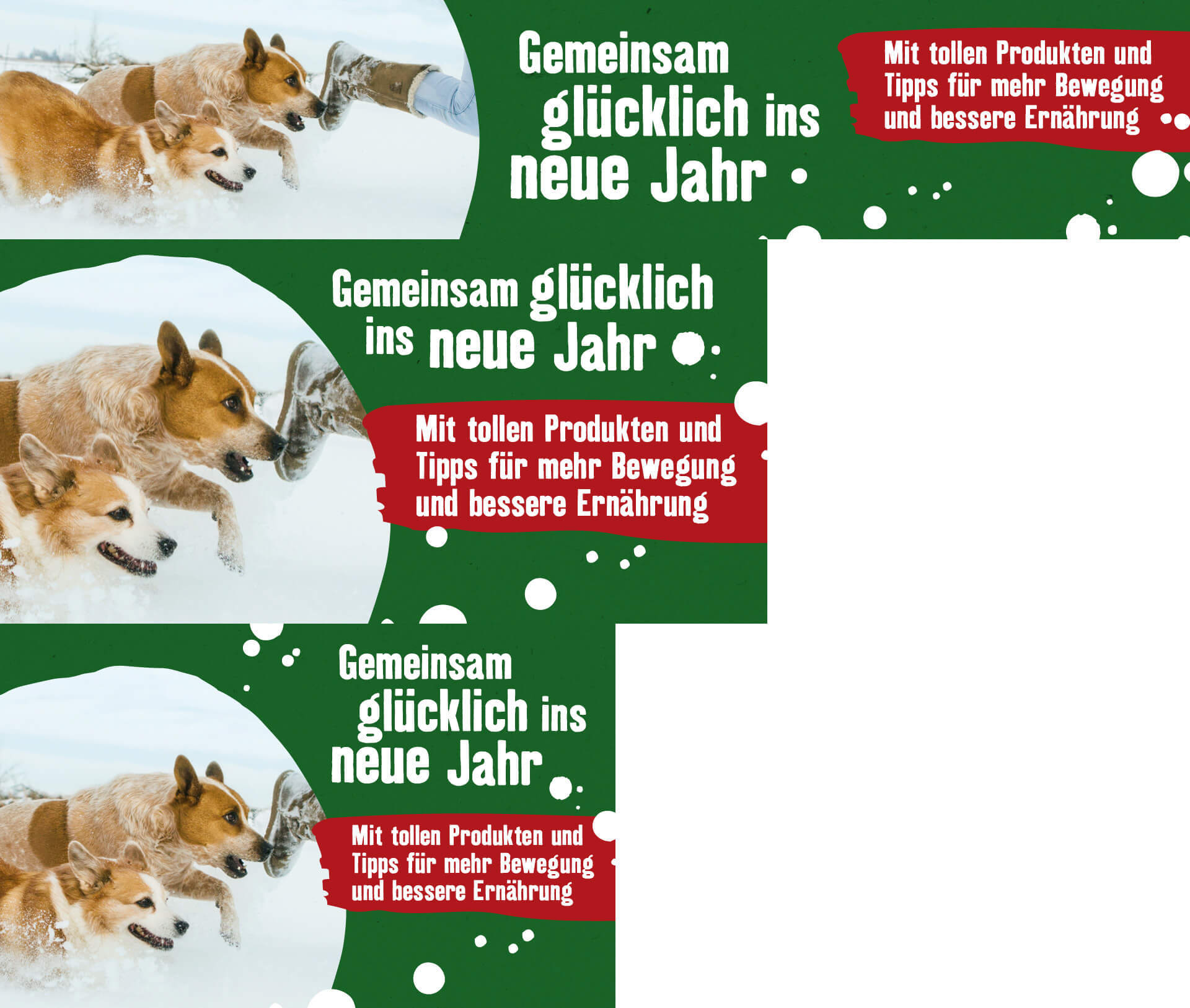 DE_KW1_GemeinsamGluecklich_SG_OS.PLP_H_1 Gemeinsam glücklich ins neue Jahr mit Ihrer Katze glücklich ins neue Jahr mit Ihrem Hund