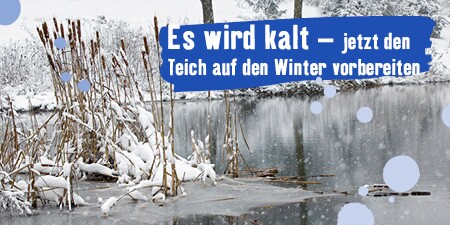 Gutscheine, Aktionen & Gewinnspiele entdecken FRESSNAPF