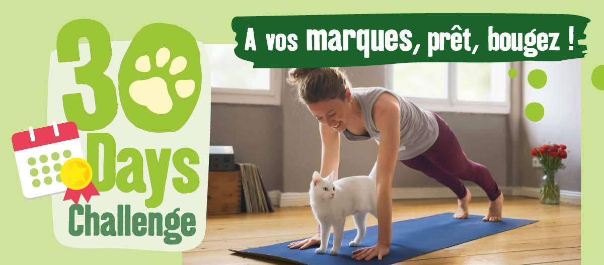 Femme faisant une planche sur un tapis de yoga avec un chat blanc dans un salon, défi fitness de 30 jours avec animaux, texte motivant en français 