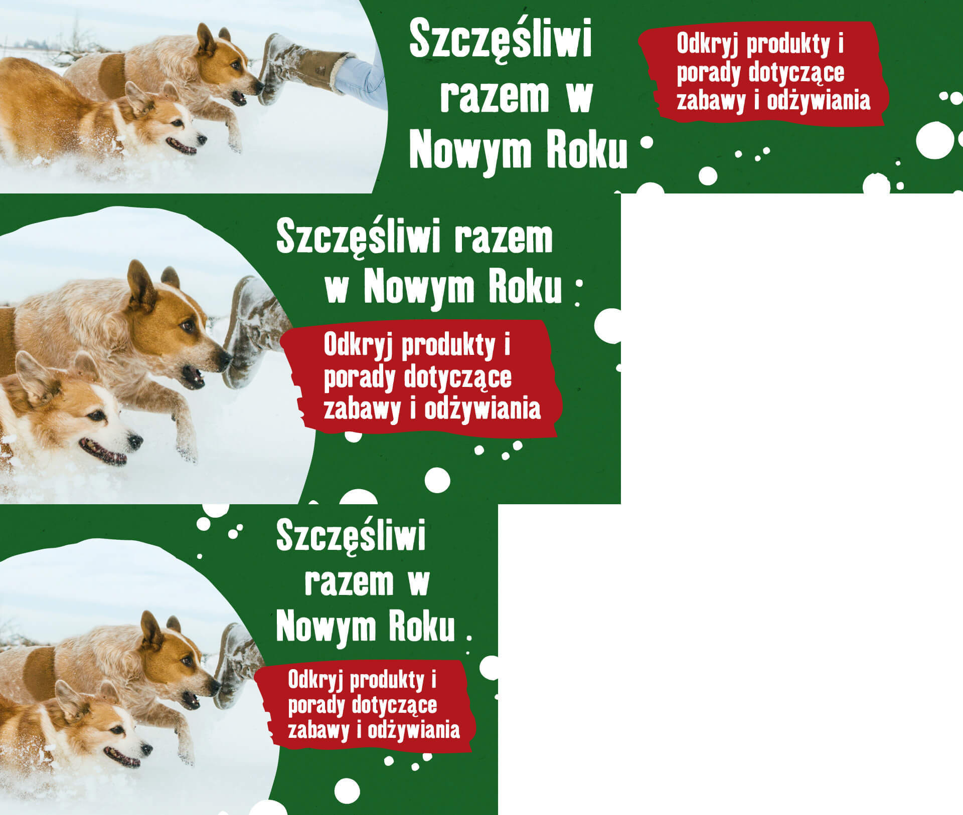 PL_KW1_GemeinsamGluecklich_SG_OS.PLP_H_1 Szczesliwi razem