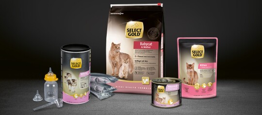 SELECT GOLD Katzenfutter für Babykatzen und Mutterkatzen mit Trockenfutter, Nassfutter, Milchpulver und Babyflaschen.