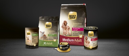 Różne produkty karmy dla psów SELECT GOLD Sensitive dla małych, średnich i starszych psów, w tym sucha i mokra karma, na ciemnym tle.
