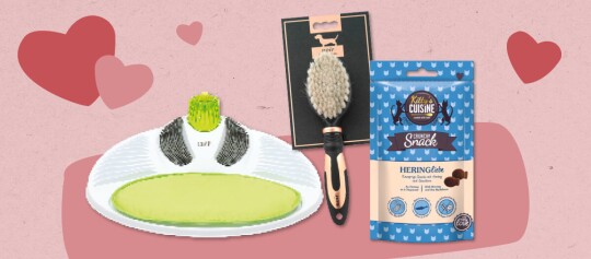 Gamelle pour animal avec tapis vert, brosse pour chat et friandises Kitty's Cuisine saveur hareng sur fond rose avec des cœurs