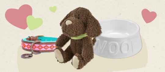 Jouet en peluche chien marron avec collier vert, collier coloré pour chien et gamelle en céramique blanche avec inscription