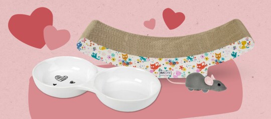 Ensemble d'accessoires pour chat mignons avec double gamelle, griffoir coloré et souris jouet grise sur fond rose avec des cœurs
