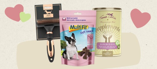 Produits de qualité pour chiens : brosse à poils Noir, friandises molles MultiFit à l'agneau et compléments alimentaires Terra Canis Superfoods.