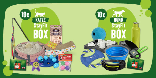 StayFit Box für Katzen und Hunde mit Spielzeug, Leckerlis, Schlafplatz und Zubehör zur Förderung der Aktivität und Gesundheit von Haustieren
