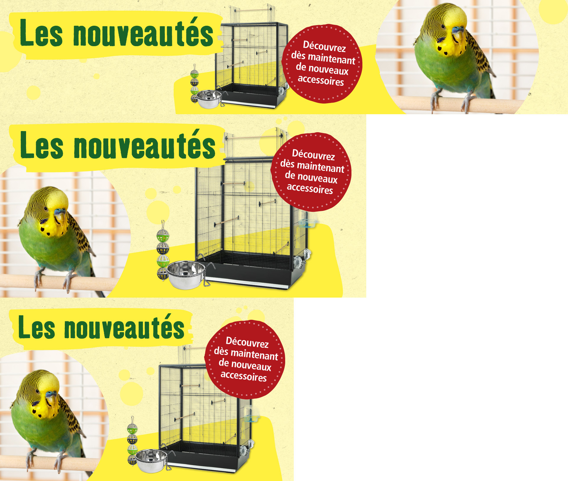 Nouvelle cage à oiseaux et accessoires avec perruche ondulée verte et jaune sur fond jaune clair – découvrez dès maintenant de nouveaux accessoires
