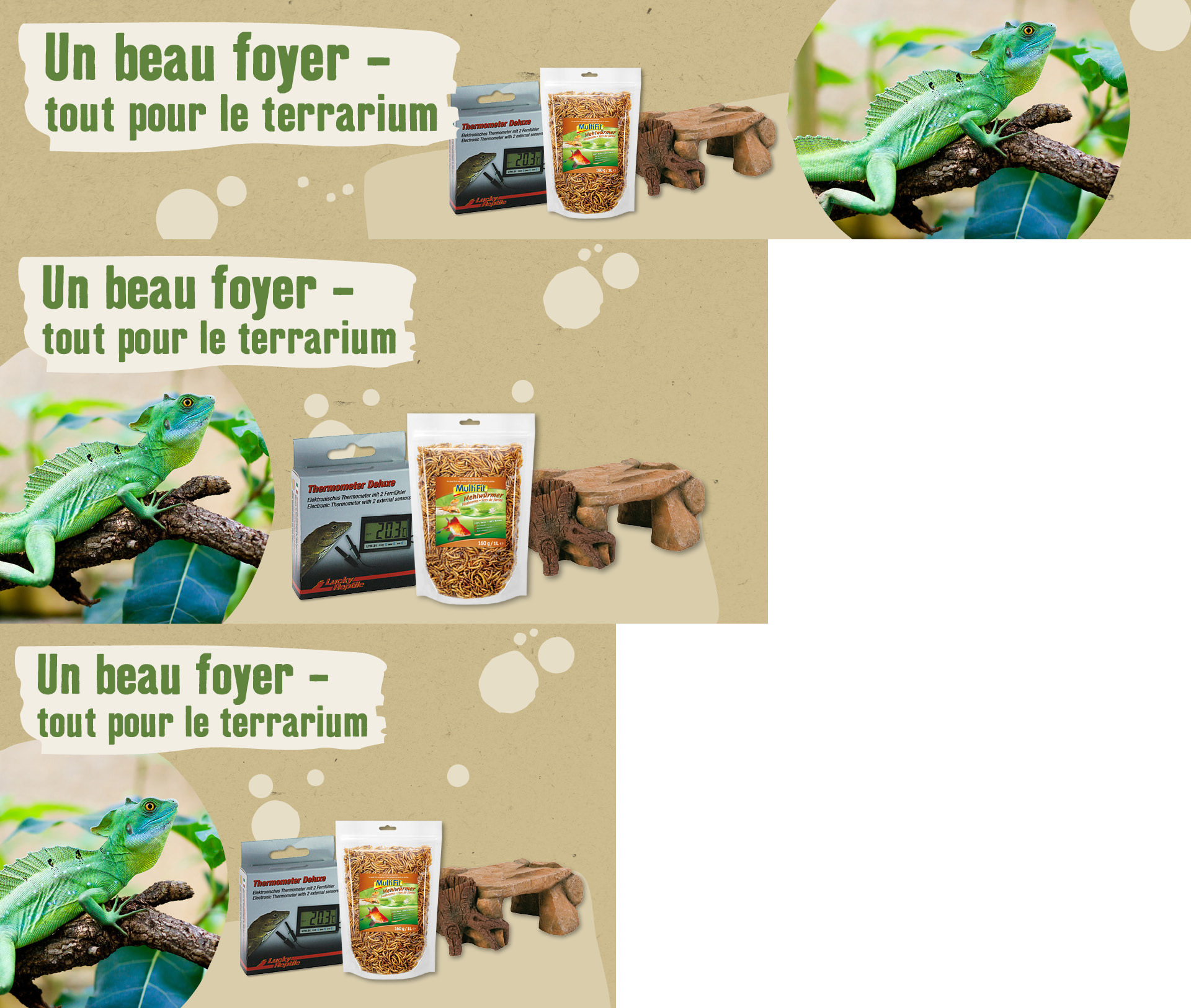 Lézard vert sur branche avec thermomètre pour terrarium, vers de farine et cachette pour reptiles – tout pour le terrarium