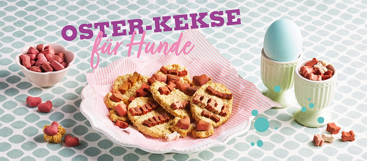 Oster-Kekse für Hunde auf einem Teller mit bunten Hundekeksen in Herz- und Knochenform, dekoriert mit einem blauen Osterei und kleinen Hundesnacks.