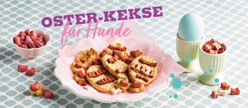Oster-Kekse für Hunde auf einem Teller mit bunten Hundekeksen in Herz- und Knochenform, dekoriert mit einem blauen Osterei und kleinen Hundesnacks.