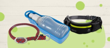 Ab nach draußen - unterwegs mit Hund