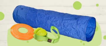 Blauer Hundespielzeug-Tunnel, orangefarbener Gummiring und grüner Ball mit Zugband auf hellem Holzhintergrund.