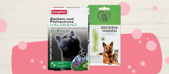 Beaphar Zecken- und Flohschutz-Halsband für Katzen und Take Care Zecken-Haken für sichere Zeckenentfernung bei Hund und Katze