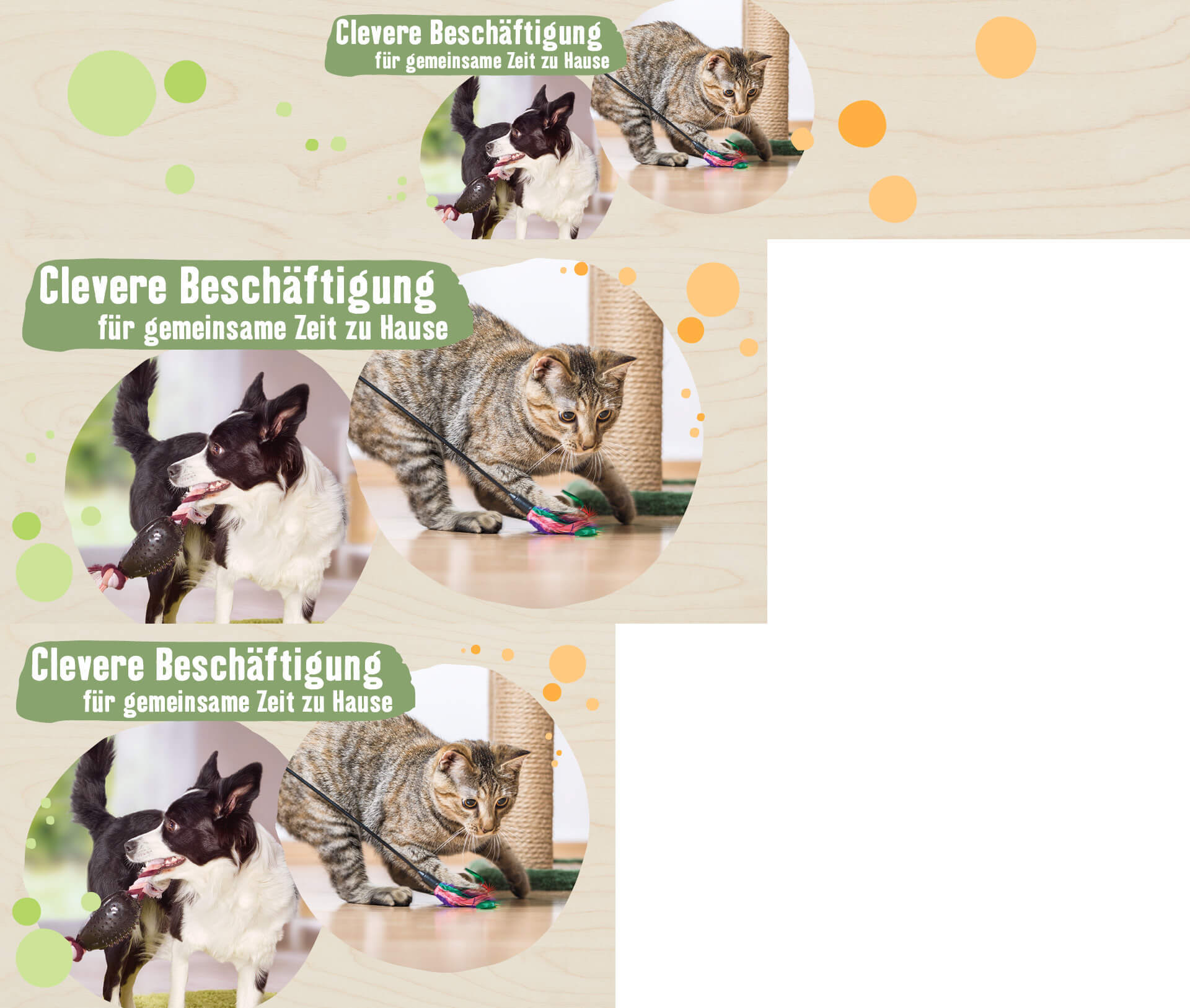 Katze und Hund spielen gemeinsam mit Spielzeug zu Hause – clevere Beschäftigung für gemeinsame Zeit.