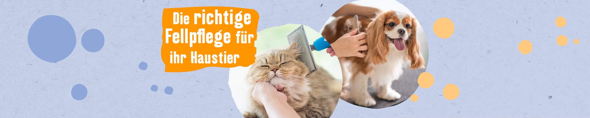 Die richtige Fellpflege für ihr Haustier