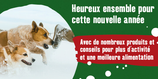 Heureux ensemble pour cette nouvelle année