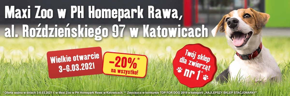 Nowe otwarcie w Katowica