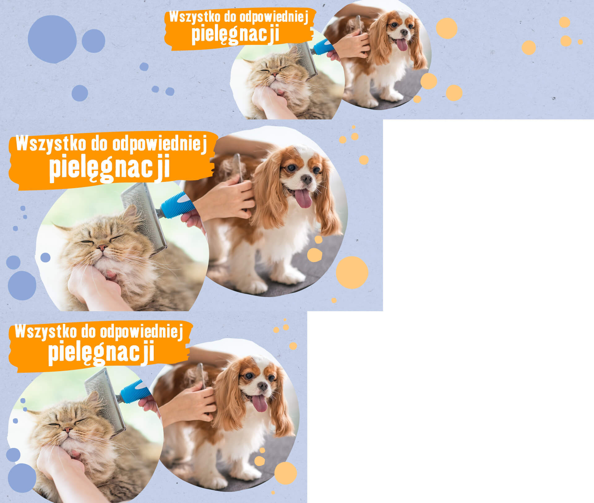 Kot i pies poddawani profesjonalnej pielęgnacji, kot jest szczotkowany, pies strzyżony, wszystko do odpowiedniej pielęgnacji