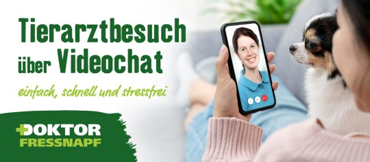 Dr. Fressnapf der kompetente Online-Tierarzt