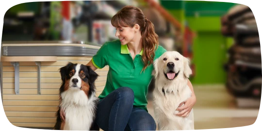 Kobieta w zielonej koszulce polo siedzi w sklepie zoologicznym z owczarkiem australijskim i golden retrieverem