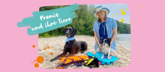 Frau am Strand mit zwei Hunden und bunten Schwimmwesten, Text 