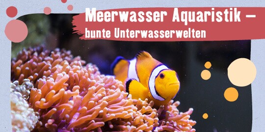 Gutscheine, Aktionen & Gewinnspiele entdecken FRESSNAPF