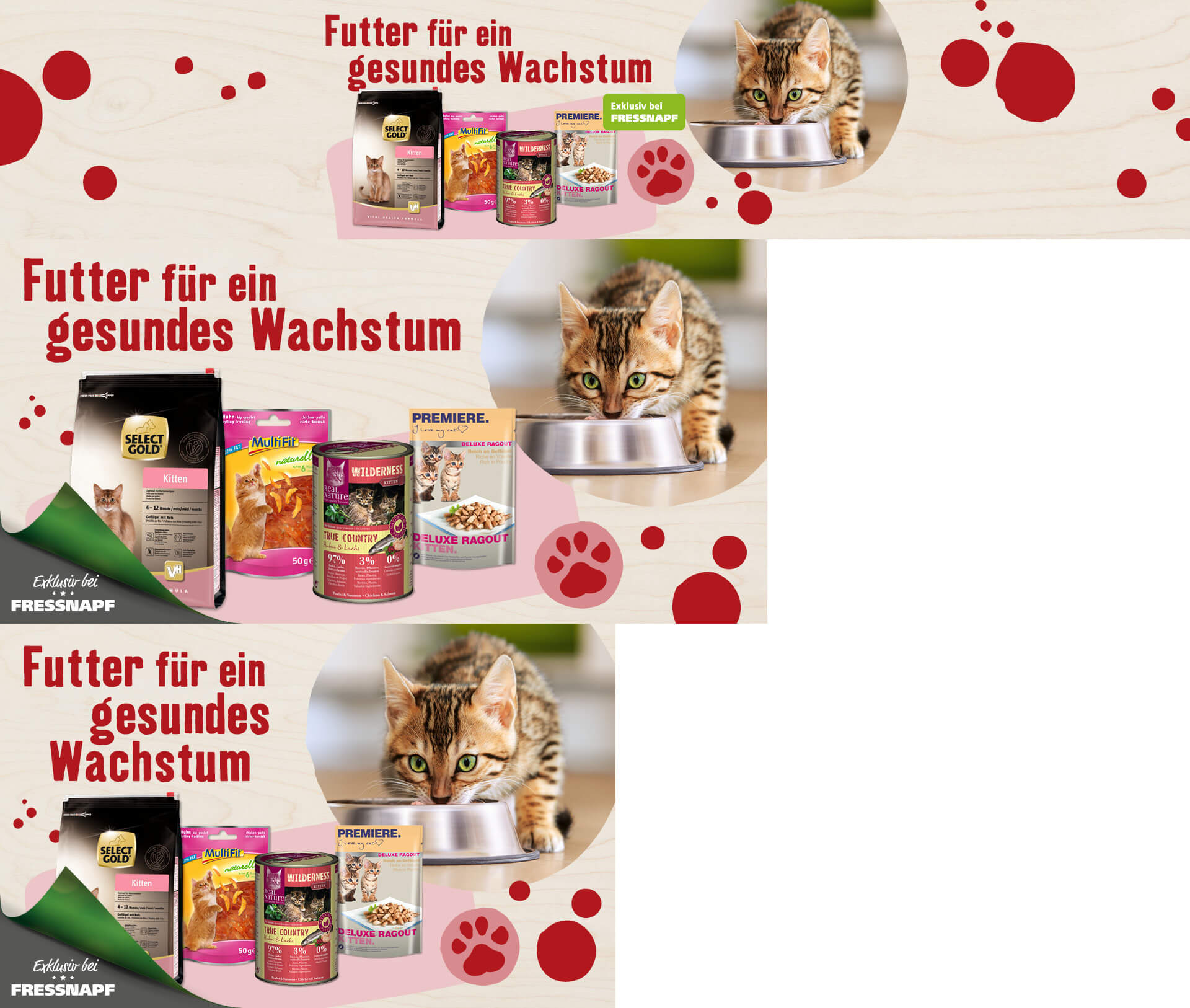 Kleines Kätzchen isst aus einem Futternapf neben verschiedenen Katzenfutterprodukten für gesundes Wachstum, exklusiv bei Fressnapf.
