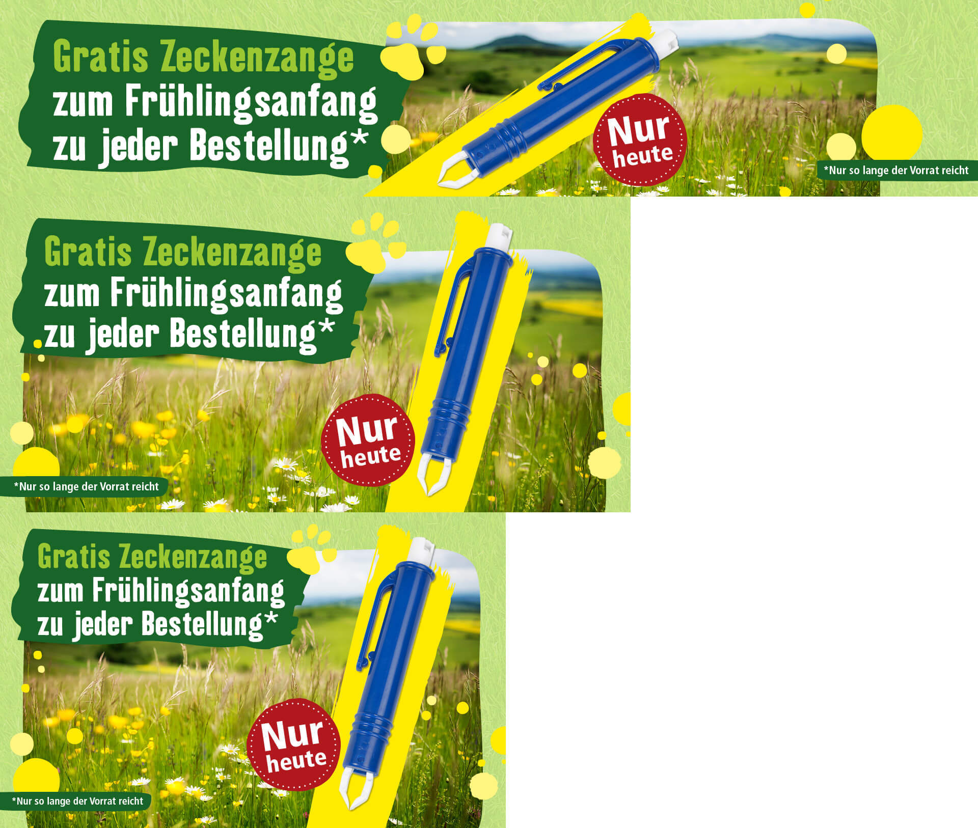 Gratis Zeckenzange Angebot zum Frühlingsanfang mit blauem Zeckenzangen-Werkzeug vor Frühlingswiese, nur heute und solange der Vorrat reicht