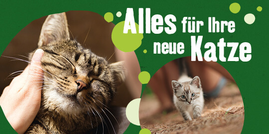 10% auf die erste Ausstattung