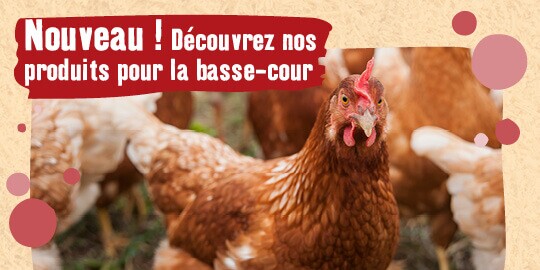 Animalerie En Ligne Produits Pour Animaux Maxi Zoo