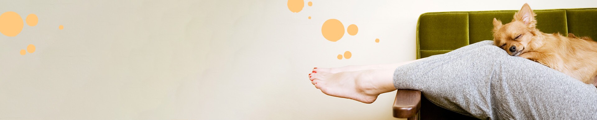 La Newsletter Maxi Zoo