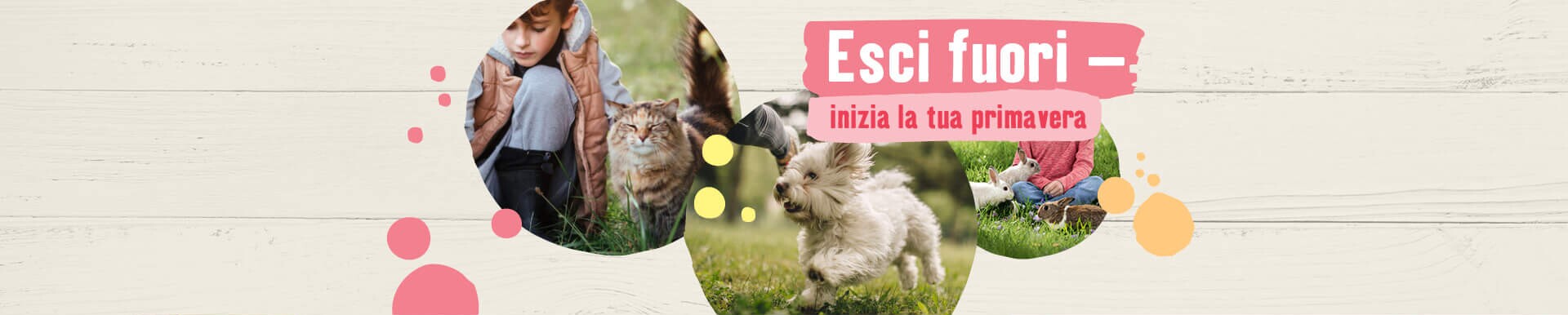 Negozio Online Per Animali Alimenti E Accessori Per Animali Maxi Zoo Negozio Online Per Animali Alimenti E Accessori Per Animali Maxi Zoo