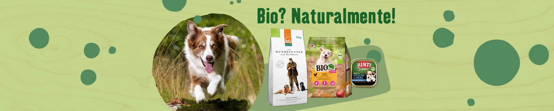 Negozio Online Per Animali Alimenti E Accessori Per Animali Maxi Zoo