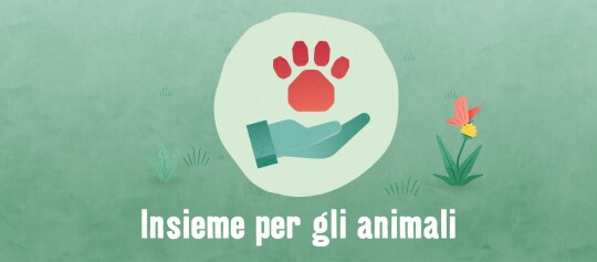 Negozio Online Per Animali Alimenti E Accessori Per Animali Maxi Zoo