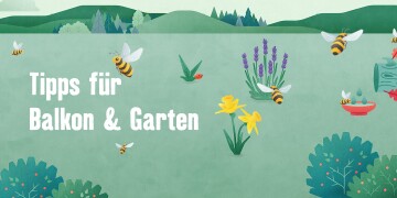 Illustration eines Gartens mit Bienen, Lavendel, Narzissen und Tipps für Balkon & Garten