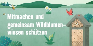 Illustration mit Bienen, Schmetterling, Wildblumen und Insektenhotel mit dem Text