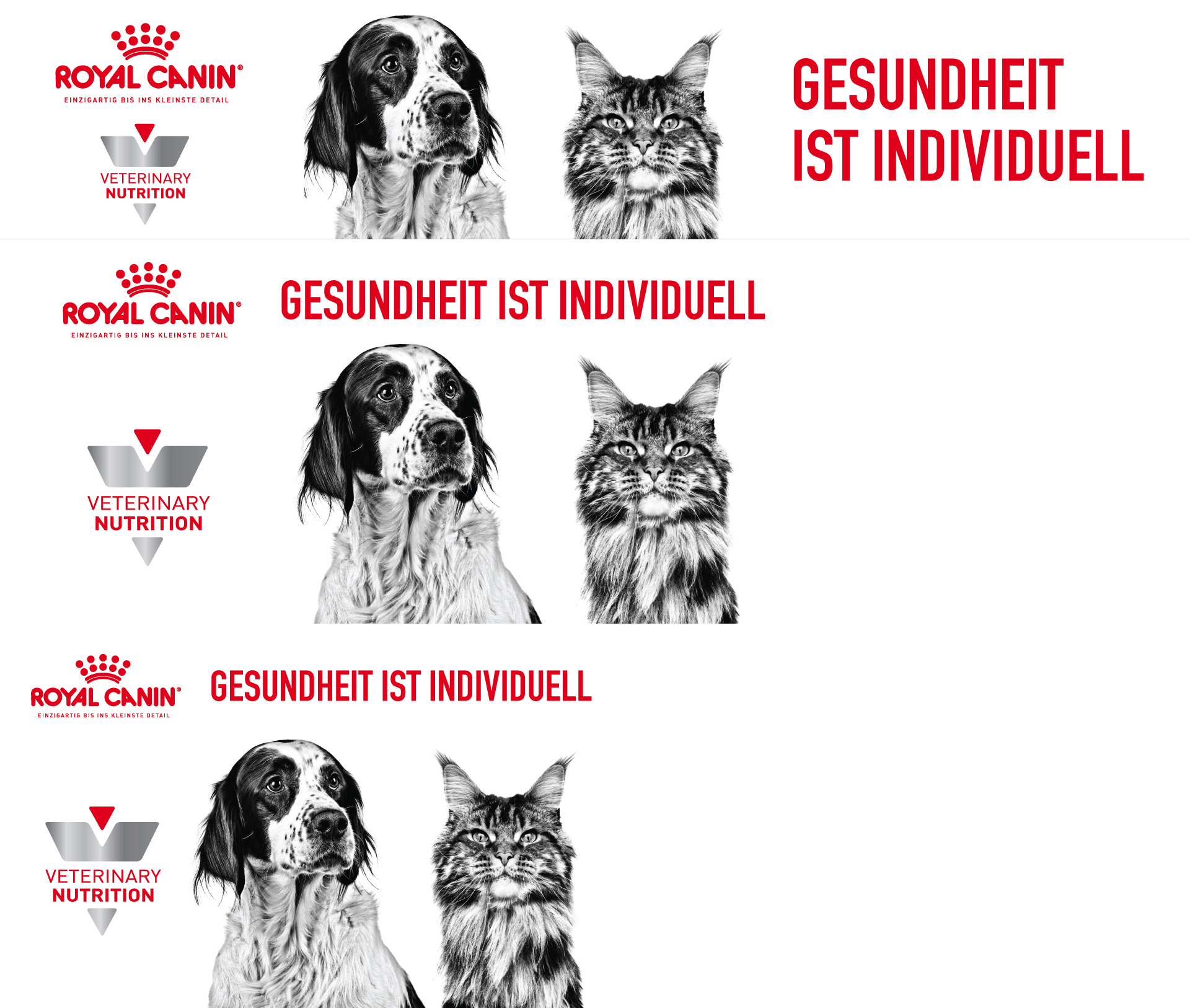 Top_Banners_WhitoutFN Royal Canin - Gesundheit ist individuell