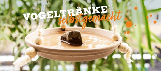 Hängende selbstgemachte Vogeltränke aus Keramik mit Wasser und Stein, umgeben von grünen Pflanzen im Garten