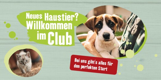 Neues Haustier? Willkommen im Club!